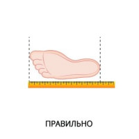 Как узнать свой размер обуви?
